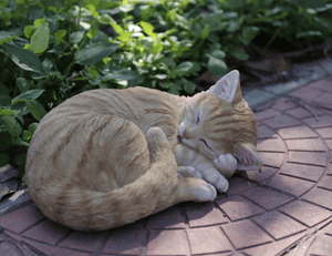 Sleeping Orange Cat Statue - Muskoka Fire Pits