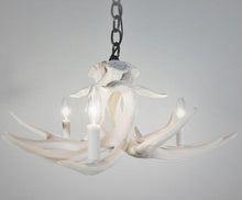 Load image into Gallery viewer, Whitetail Deer 3 Antler Chandelier - Muskoka Fire Pits