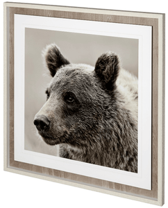 Portrait of a Bear- Artwork - Muskoka Fire Pits