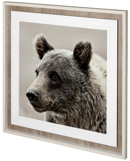 Portrait of a Bear- Artwork