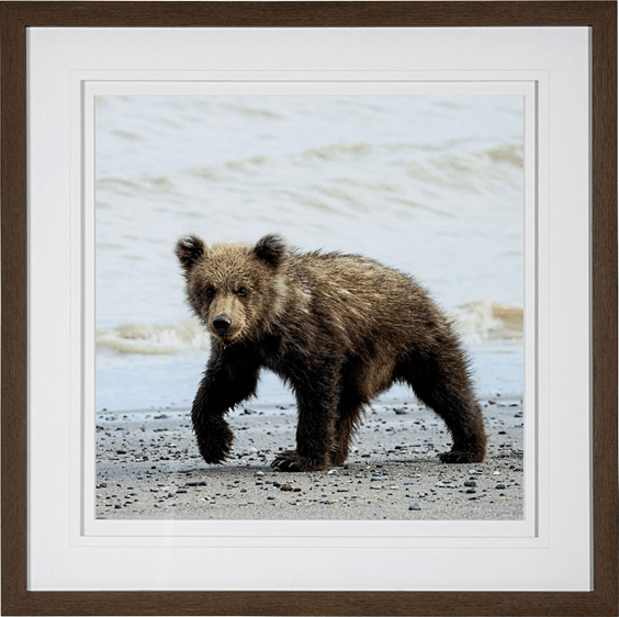 The Cub- Artwork - Muskoka Fire Pits