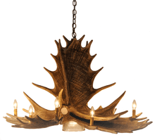 Charger l&#39;image dans la galerie, Moose 6 Antler Chandelier - Muskoka Fire Pits