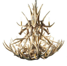 Charger l&#39;image dans la galerie, Mule Deer 20 Antler Chandelier - Muskoka Fire Pits