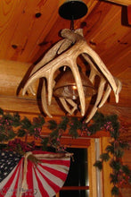 Load image into Gallery viewer, Whitetail Deer 3 Antler Pendant Light - Muskoka Fire Pits