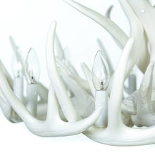 Load image into Gallery viewer, Whitetail Deer 12 Antler Cascade Chandelier