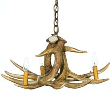 Load image into Gallery viewer, Whitetail Deer 3 Antler Chandelier