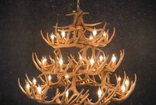 Load image into Gallery viewer, Whitetail Deer 42 Antler Chandelier