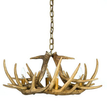 Load image into Gallery viewer, Whitetail Deer 6 Antler Chandelier