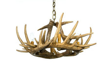Load image into Gallery viewer, Whitetail Deer 6 Antler Chandelier