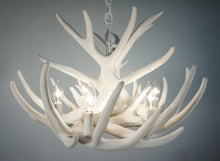 Load image into Gallery viewer, Whitetail Deer 9 Antler Chandelier