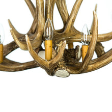Load image into Gallery viewer, Mule Deer 6 Antler Chandelier