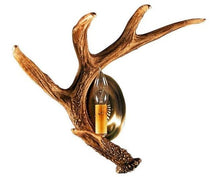 Load image into Gallery viewer, Whitetail Deer Left Antler Wall Sconce (Left or Right)